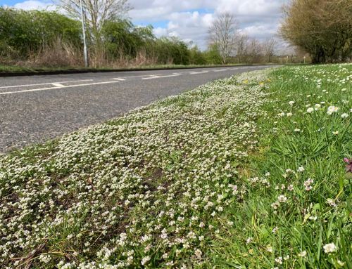 Call of nature –  come and join us