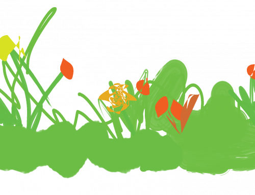 Best Wildlife Friendly Garden Competition 2026