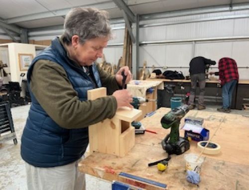 Adding value to our green spaces