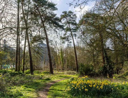 Springtime in the Old Station Yard