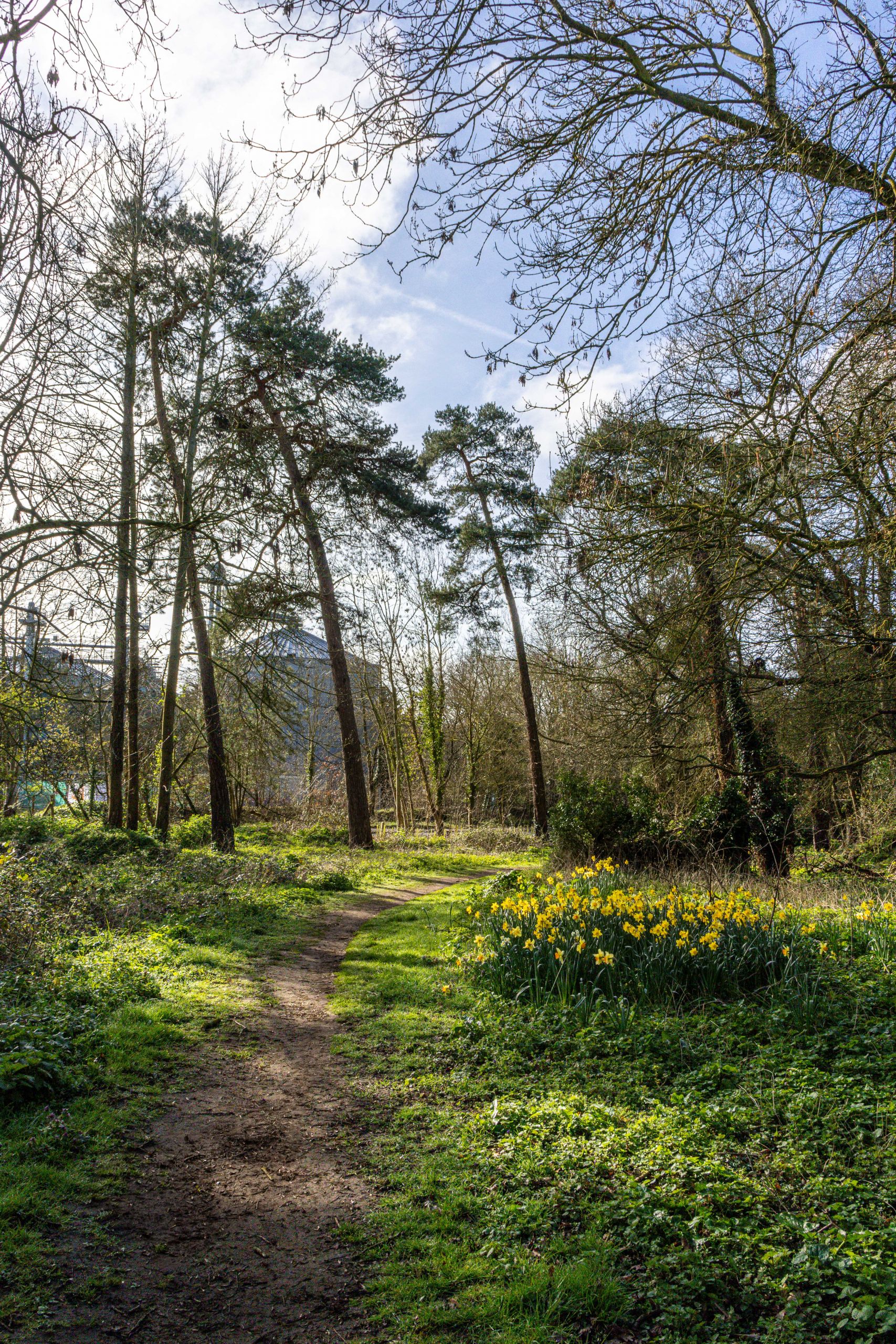 Spring-March2026-1Web